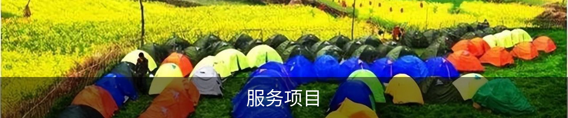 服务项目